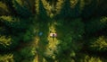 Sunset over coniferous forest, drone captures beauty generated by AI