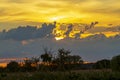 Sunset over a corn field near Sandweier Baden-Baden