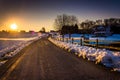 Sunset over a country road during the winter in rural York Count Royalty Free Stock Photo