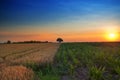 Sunset over countryside Royalty Free Stock Photo