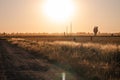 Sunset over countryside field wild grass. Evening rural scene. Colorful red orange sun light on horizon Family farming Royalty Free Stock Photo