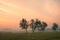 Sunset over countryside trees Royalty Free Stock Photo