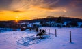 Sunset over cows in a snow-covered farm field in Carroll County Royalty Free Stock Photo