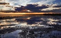 Sunset over cropped reed beds of the Camargue Royalty Free Stock Photo