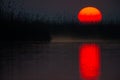 Sunset over Danube Delta, scenery view Royalty Free Stock Photo