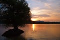 Sunset over Danube river with a tree in the water Royalty Free Stock Photo