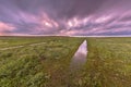 Sunset over ditch in tidal marsh