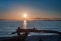 Sunset over driftwood at twilight Royalty Free Stock Photo