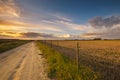 Sunset over dry ricefield Royalty Free Stock Photo