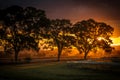 Sunset over an empty race course at Gulgong NSW Au Royalty Free Stock Photo