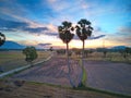 Sunset over a famous couple of palmary trees Royalty Free Stock Photo