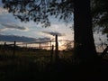 sunset over farm with fence and tree Royalty Free Stock Photo