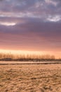 Sunset over farm field with hay bales. Concept of wildlife, fora Royalty Free Stock Photo