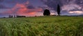 Sunset over farm field in wind Royalty Free Stock Photo