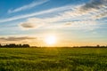 sunset over farm fields, rural farm landscape in Europe Royalty Free Stock Photo