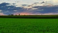 Sunset over farmlands and corn fields with clouds and blue sky Royalty Free Stock Photo