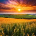 Sunset over the field Captivating majestic landscape with stunning light and rolling colorful