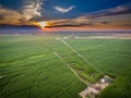 Sunset over field of crops in Colorado Royalty Free Stock Photo