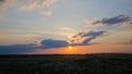 Sunset over field of dandelions