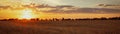 Sunset over the field at golden hour beautiful summer landscape web banner panoramic Royalty Free Stock Photo