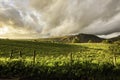 Sunset over field in Lake District,Cumbria,Uk Royalty Free Stock Photo