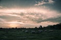 Sunset over field with sheeps Royalty Free Stock Photo