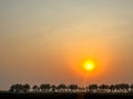 A sunset over a field of trees with a large sun in the sky Royalty Free Stock Photo