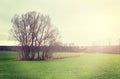 Sunset over field, vintage retro style nature background Royalty Free Stock Photo