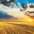 Sunset over fields with crop Royalty Free Stock Photo