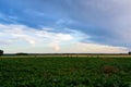 Sunset over fields in Vojvodina