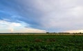 Sunset over fields in Vojvodina