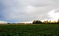 Sunset over fields in Vojvodina