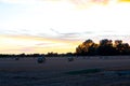 Sunset over fields in Vojvodina