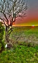 Sunset over the fields in winter Royalty Free Stock Photo