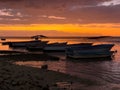 Sunset over fishing boats and commercial tankers, Tombeau Bay, Mauritius Royalty Free Stock Photo