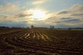 Sunset over Flemish winter farm land