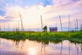 Sunset over the floating farm, Inle Lake, Myanmar Royalty Free Stock Photo
