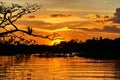 Sunset over the flooded jungle Royalty Free Stock Photo