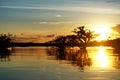 Sunset over the flooded jungle Royalty Free Stock Photo