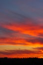 Sunset over the forest. beautiful multi-colored sky with bright streaks. Vertical shot