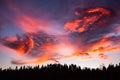 Sunset over forest with dramatic sky