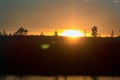 Sunset over forest lake and reflection in water Royalty Free Stock Photo