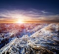 Sunset over winter meadow Royalty Free Stock Photo