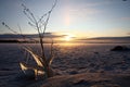 Sunset over frozen lake Royalty Free Stock Photo