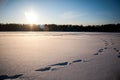 Sunset over the frozen lake and pine forest. Footsteps tracks on the snow Royalty Free Stock Photo