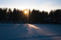 Sunset over the frozen lake and pine forest. Footsteps tracks on the snow Royalty Free Stock Photo