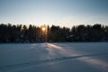 Sunset over the frozen lake and pine forest. Footsteps tracks on the snow Royalty Free Stock Photo