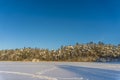 Sunset over the frozen lake and pine forest. Footsteps tracks on the snow Royalty Free Stock Photo