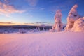 Sunset over frozen trees in Finnish Lapland Royalty Free Stock Photo