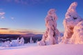 Sunset over frozen trees on a mountain, Finnish Lapland